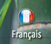 french